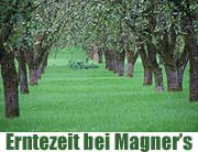 So wird der Irish Cider hergestellt. Irlands beliebtester Cider "Magners" ludt uns zum Besuch nach Clonmel / Irland (Foto: Martin Schmitz)